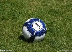 国安喜迎转,会被解封,冬歇期外援,天博体育平台,天博体育官方网站,天博体育登录入口,天博体育app下载