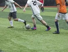 岁新星丰塞,巡回赛初尝,冠军滋味,天博体育平台,天博体育官方网站,天博体育登录入口,天博体育app下载