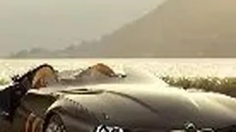 山东黄金(600547)年度业绩报告